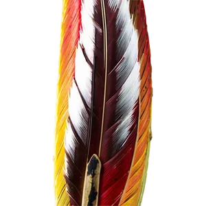 Peso Pluma Closeup PNG 06132024