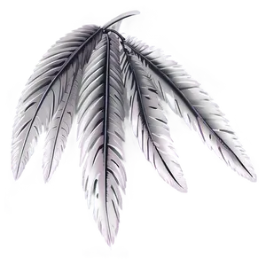 Peso Pluma Detail PNG Pkq