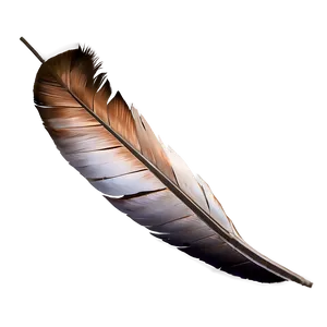 Peso Pluma Mark PNG 06132024 PNG