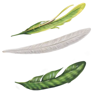 Peso Pluma Representation PNG Rfh86 PNG