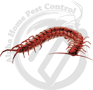 Pest Control Centipede Logo PNG image