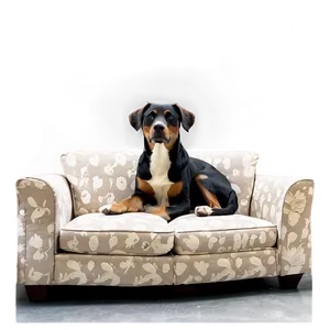 Pet-friendly Couch Design Png 05252024 PNG image