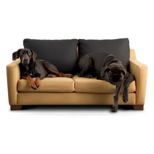 Pet-friendly Couch Design Png 89 PNG image