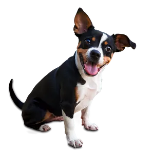 Pet Photoshoot PNG 06252024 PNG