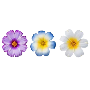 "petal Panorama: Wide-range Flower PNG" A