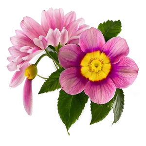 "petal Panorama: Wide-range Flower PNG" B