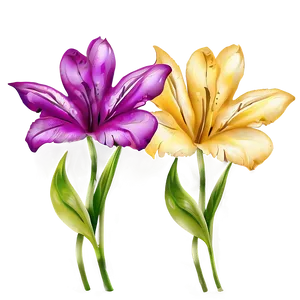 "petal Perfection: Artistic Flower PNG" D