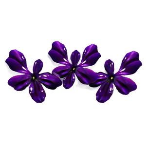 Petals And Stars PNG Aee PNG