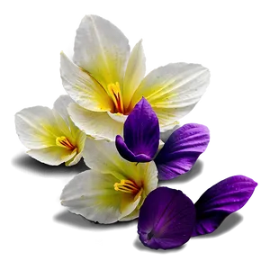 Petals C PNG image