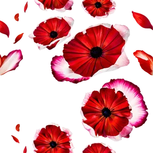 Petals D PNG image