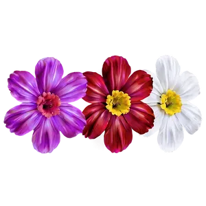 "petals Of Perfection: Flower PNG" C