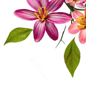 "petals Of Perfection: Flower PNG" D