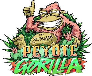 Peyote Gorilla Cartoon PNG image