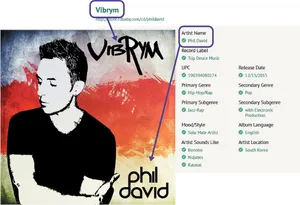 Phil David Vibrym Album Artwork PNG