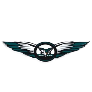 Philadelphia Eagles Flyover Png 05212024 PNG image