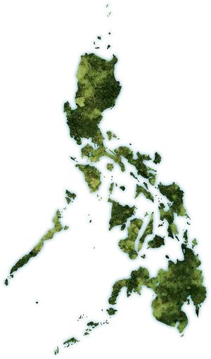 Philippines Topographic Map PNG image