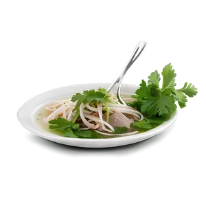 Pho With Fresh Cilantro PNG Ofh46 PNG
