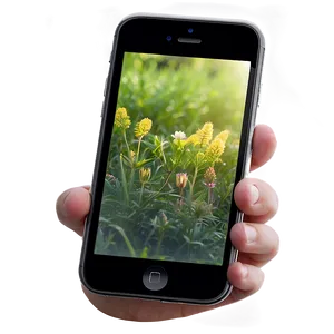 Phone Mockup In Nature PNG Ano52 PNG