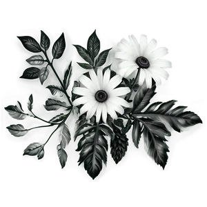 Photorealistic Black White Flowers PNG Rph PNG