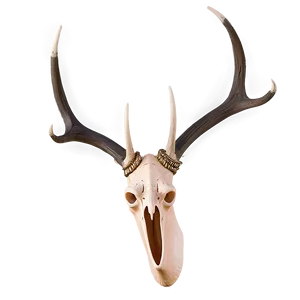 Photorealistic Deer Antler PNG Jhw36 PNG