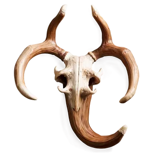 Photorealistic Deer Antler PNG Yyo65 PNG