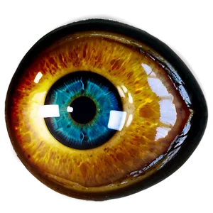 Photorealistic Evil Eye PNG Xay69 PNG