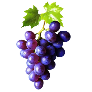 Photorealistic Grape Png 06292024 PNG image
