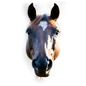 Photorealistic Horse Head Rendering PNG 06122024 PNG