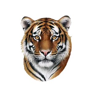 Photorealistic Tiger Face Close-up PNG Xur15 PNG