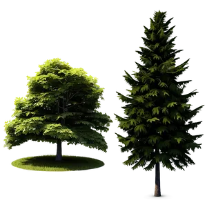 Photorealistic Tree Elevation PNG Rwx