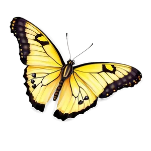 Photorealistic Yellow Butterfly PNG 06292024