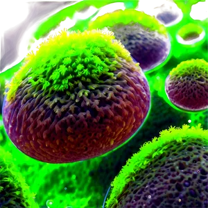 Photosynthetic Algae Close-up PNG Xhx