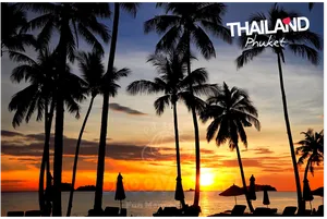 Phuket_ Sunset_ Palm_ Silhouettes PNG image