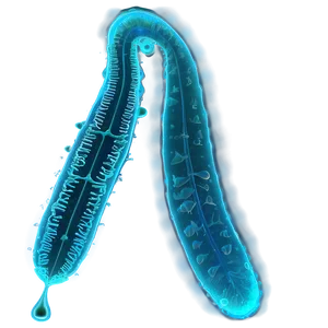 Phytoplankton Vs Zooplankton PNG Lmy63 PNG