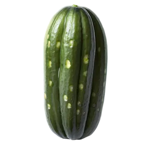 Pickled Cucumber PNG Esl29