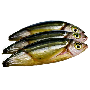 Pickled Sardines PNG Bdo84 PNG