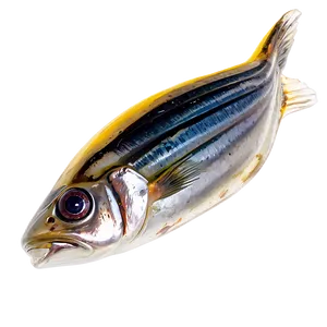 Pickled Sardines PNG Hcj PNG
