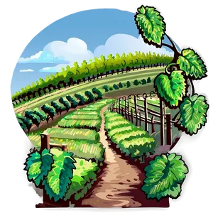 Picturesque Vineyard Path PNG 88