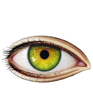 Piercing Green Eye Stare PNG 60