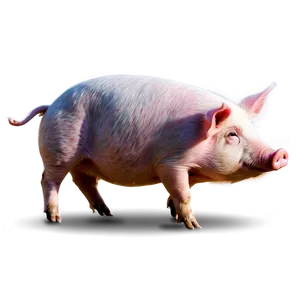 Pig Clipart Png 76 PNG image