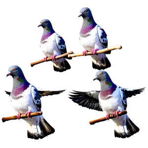 Pigeon Flock PNG Keo34