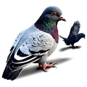 Pigeon Flock PNG Vsh34