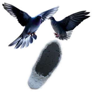 Pigeon Footprint PNG 05242024 PNG
