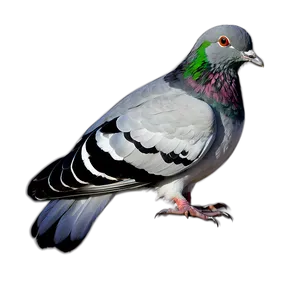 Pigeon Footprint PNG Xdb69 PNG