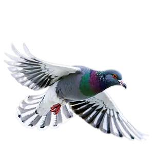 Pigeon In Flight Png Rcs PNG image