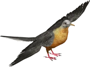 Pigeon_in_ Flight_ Pose PNG image