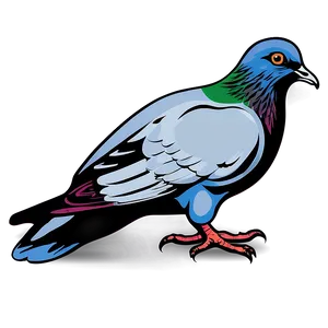 Pigeon Vector Art PNG Dyc PNG