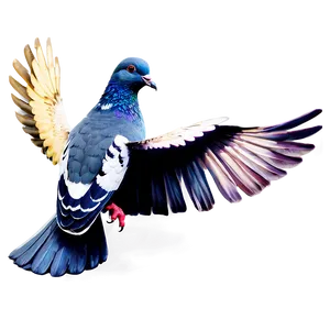 Pigeon With Letter PNG Sbw38
