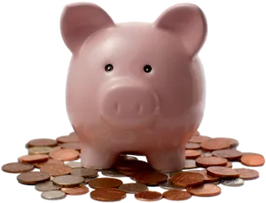 Piggy Bank Savings Coins Collection