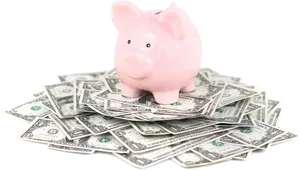 Piggy Bank Savings U S D PNG